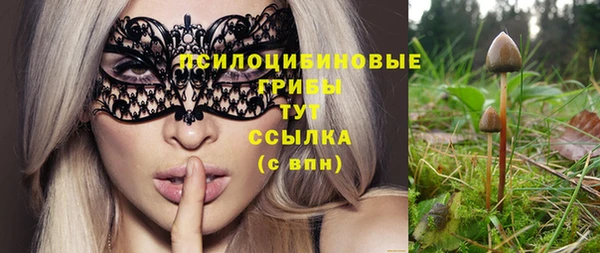 соль курить ск Аркадак