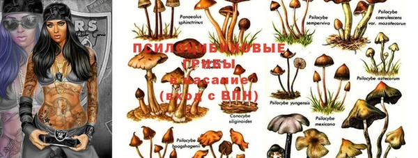 PSILOCYBIN Надым